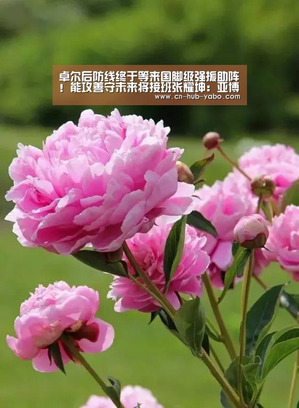 亚博体育