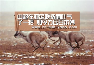 中超在亚足联扬眉吐气了一把 如今力压日本韩国成亚洲第一联赛_亚博体育官网(图1) 亚博官网