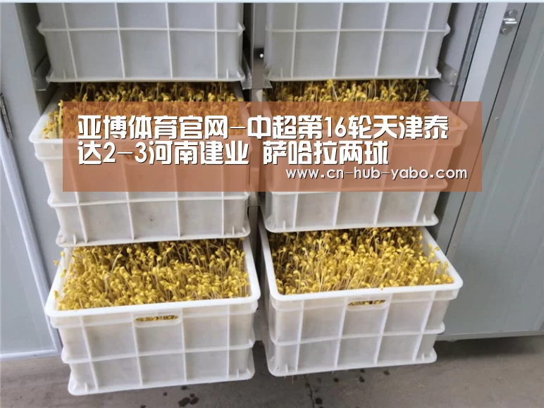 亚博体育官网-中超第16轮天津泰达2-3河南建业 萨哈拉两球