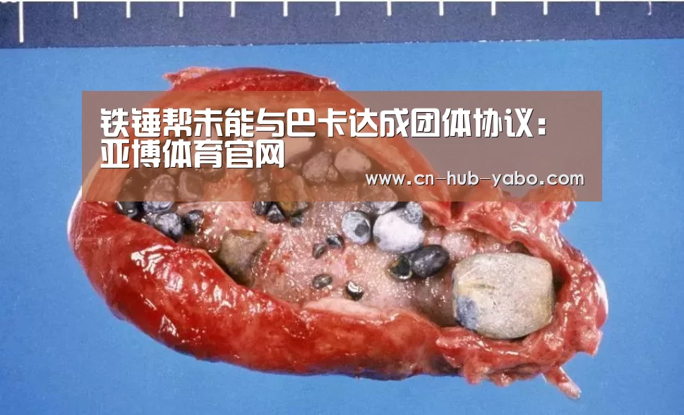 亚博体育官网